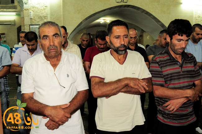 trawe7 ramla kaber (21).JPG